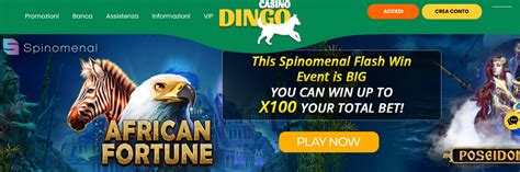 casino dingo online.